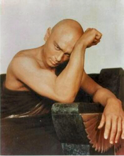 shemale lips gay pic forums